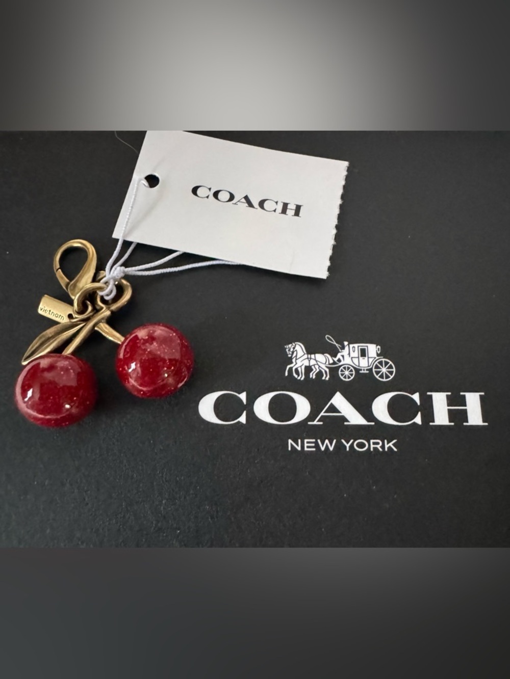 Coach NWT Cherry mini charm